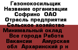 Газонокосильщик › Название организации ­ Софрино, ОАО › Отрасль предприятия ­ Сельское хозяйство › Минимальный оклад ­ 1 - Все города Работа » Вакансии   . Амурская обл.,Архаринский р-н